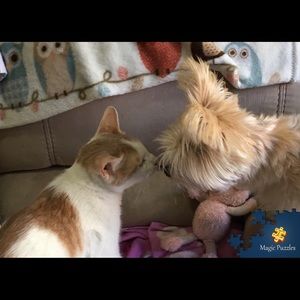 Meet your Posher, Pat